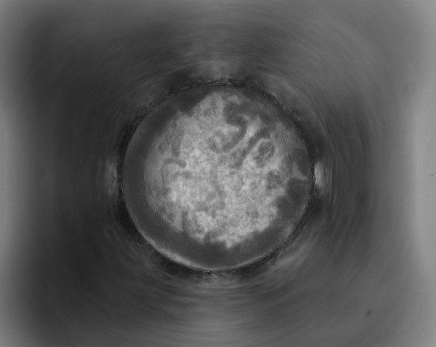 X0000094211203200711161822