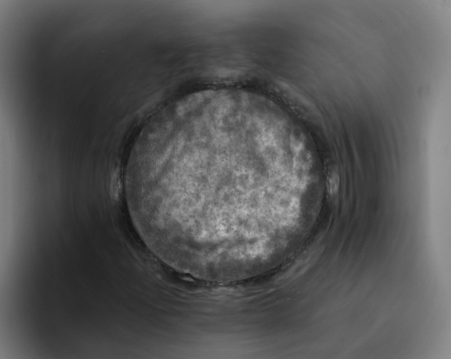 X0000094211204200711161822