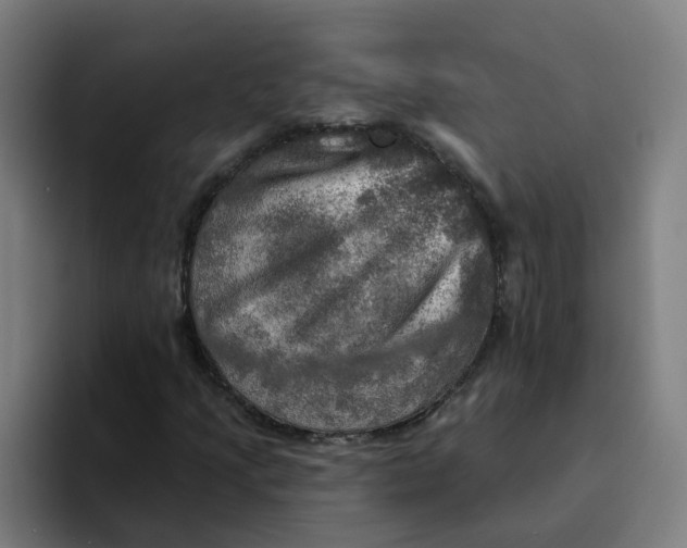X0000094211205200711161822