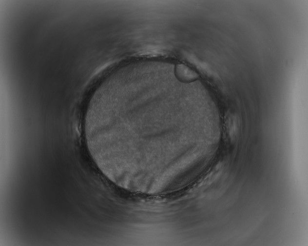 X0000094211206200711161822