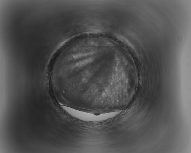 X0000094211208200711161822