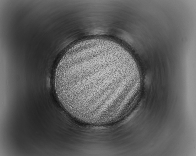 X0000094211209200711161822