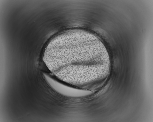 X0000094211210200711161822