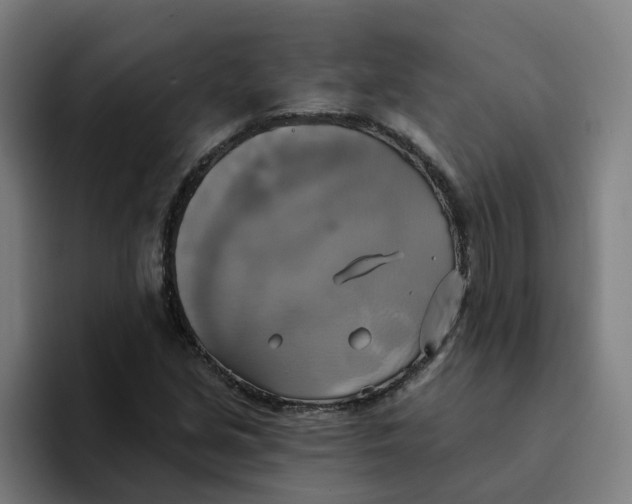 X0000094211213200711161822