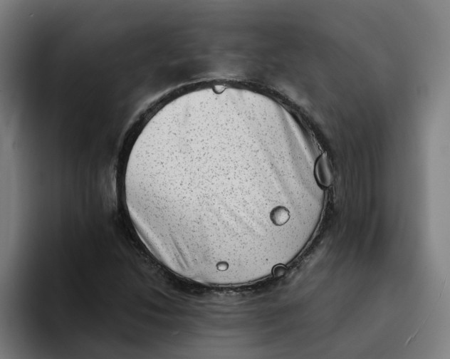 X0000094211214200711161822