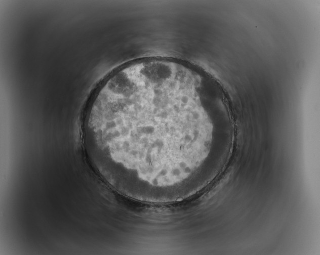 X0000094211215200711161822