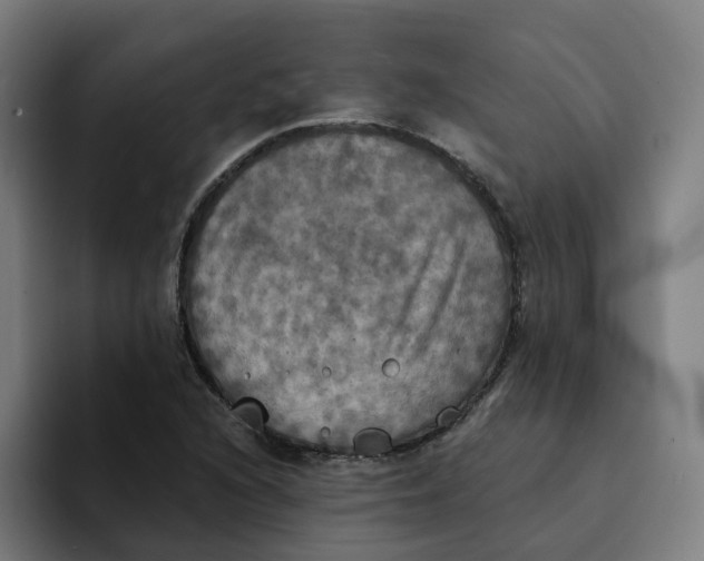 X0000094211216200711161822