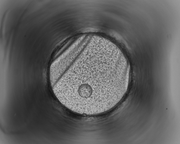 X0000094211217200711161822