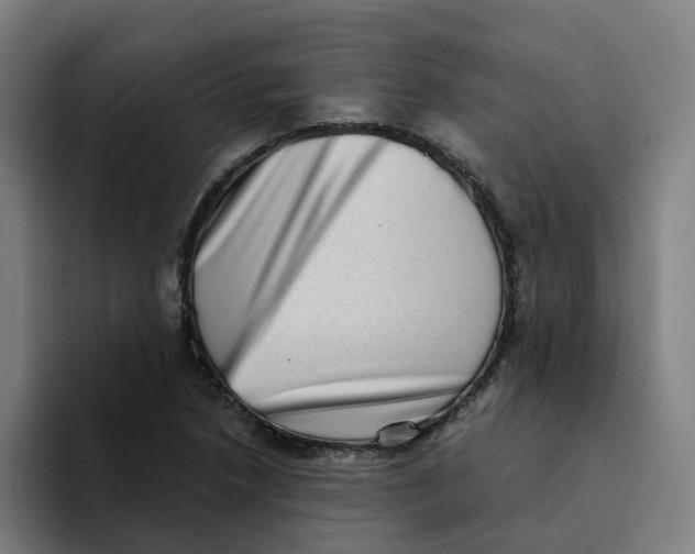 X0000094211218200711161822