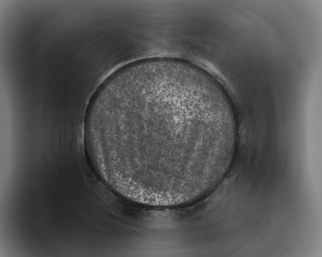 X0000094211220200711161822