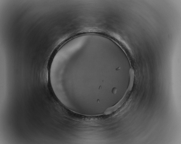 X0000094211221200711161822