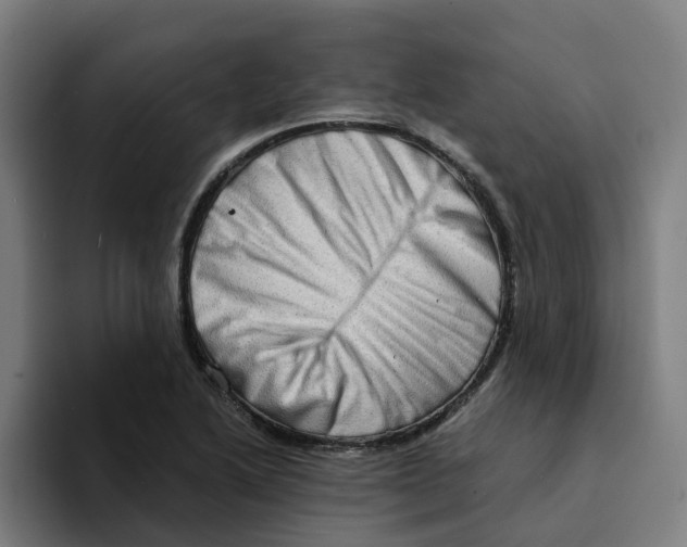 X0000094211222200711161822
