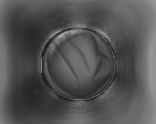 X0000094211223200711161822