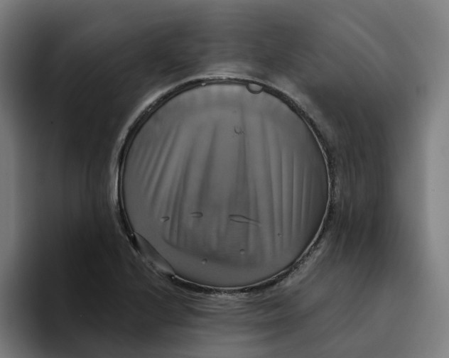 X0000094211224200711161822