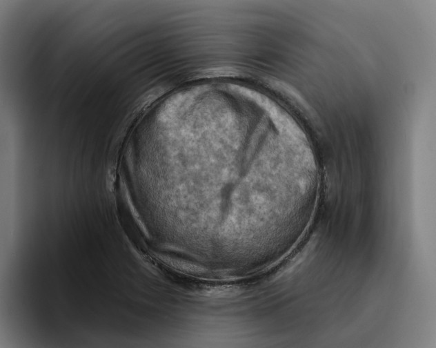 X0000094211225200711161822