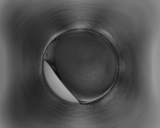 X0000094211226200711161822