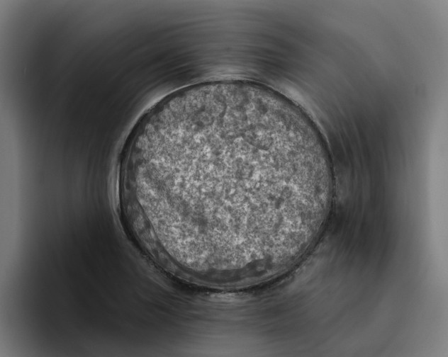 X0000094211227200711161822