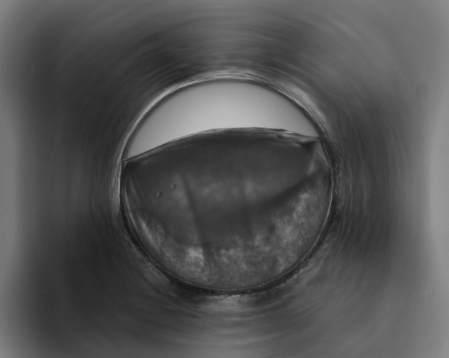 X0000094211228200711161822