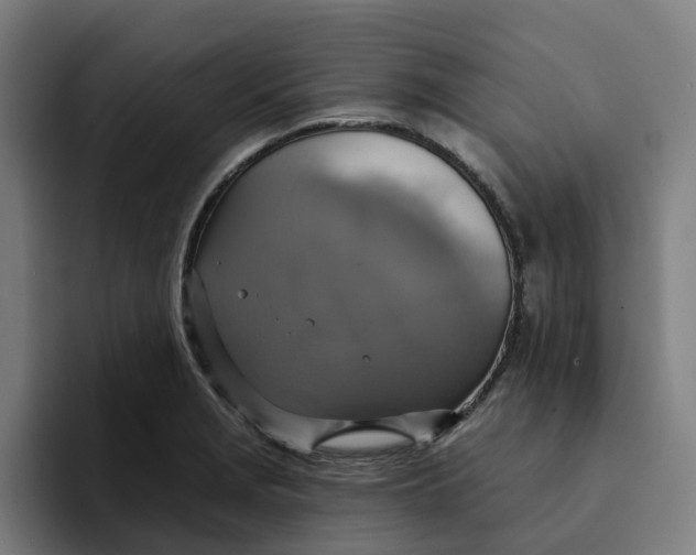 X0000094211229200711161822