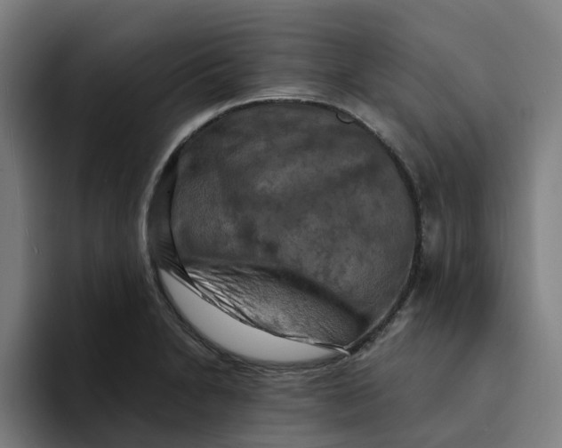 X0000094211230200711161822