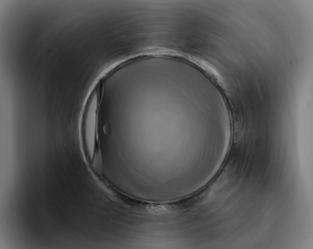 X0000094211231200711161822