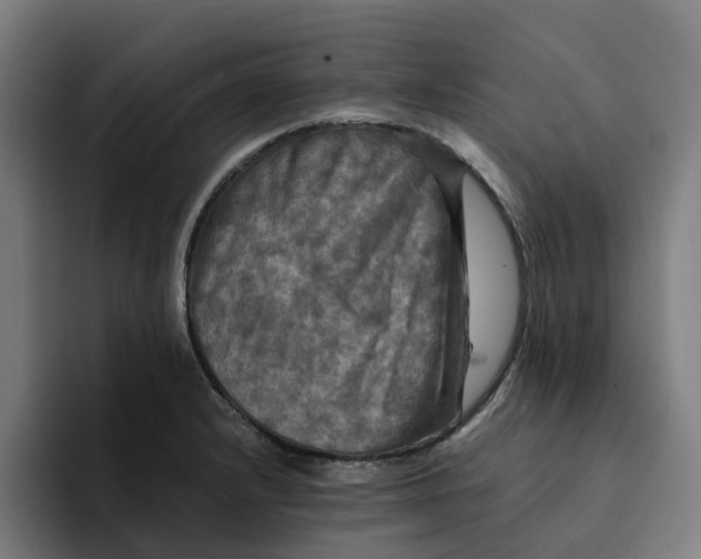 X0000094211232200711161822