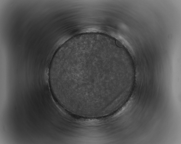 X0000094211233200711161822
