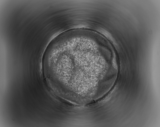 X0000094211234200711161822