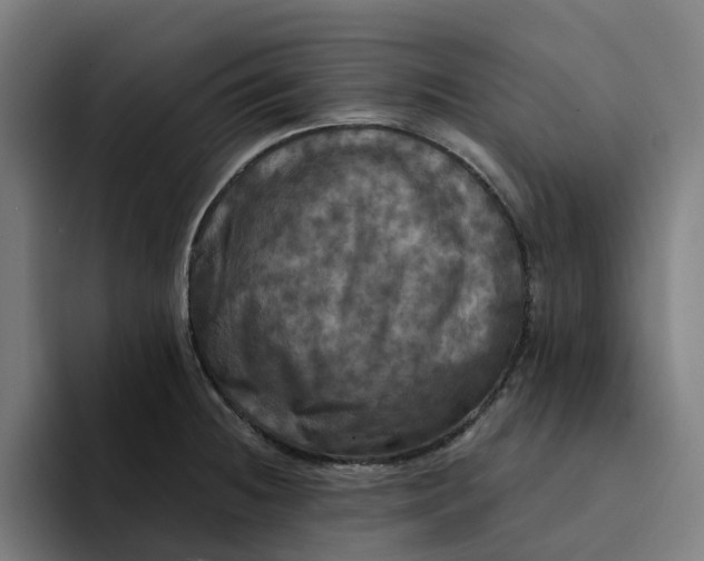 X0000094211236200711161822