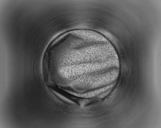 X0000094211238200711161822