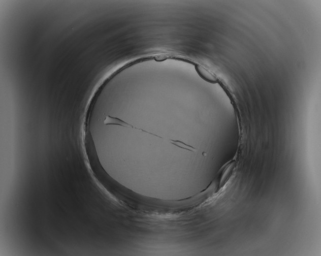 X0000094211239200711161822
