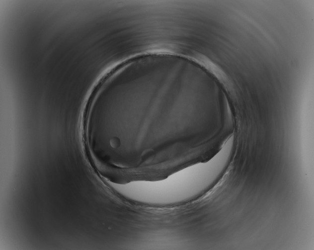 X0000094211240200711161822