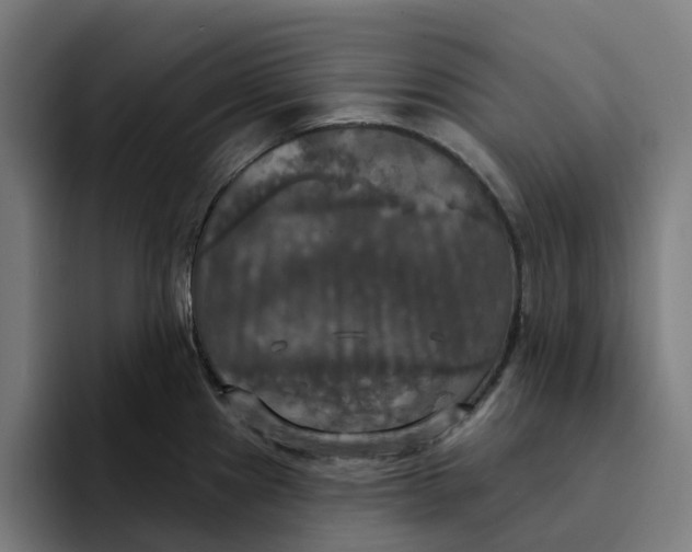 X0000094211241200711161822