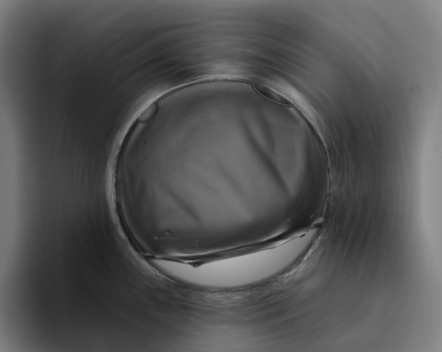 X0000094211243200711161822