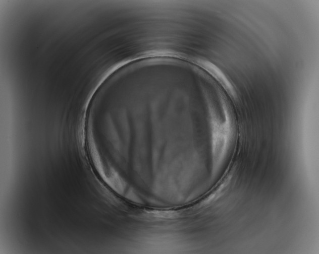 X0000094211244200711161822