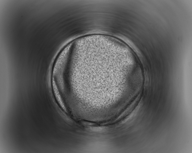 X0000094211246200711161822