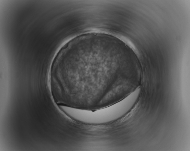 X0000094211247200711161822
