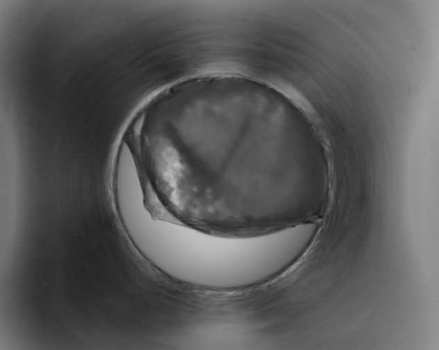 X0000094211248200711161822