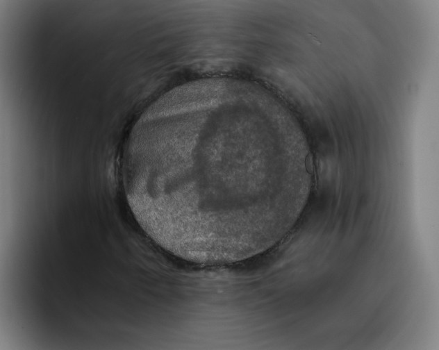 X0000094211250200711161822
