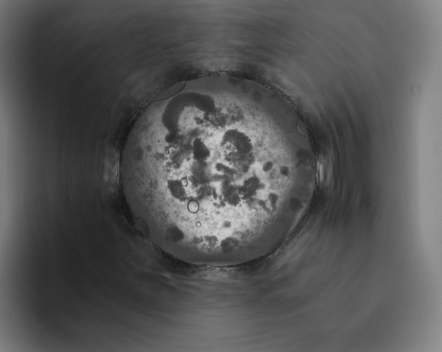 X0000094211251200711161822
