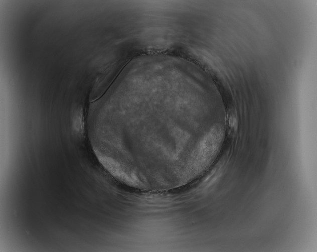 X0000094211252200711161822