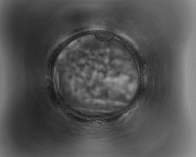 X0000094211255200711161822