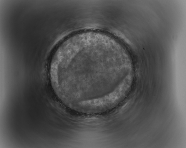 X0000094211256200711161822