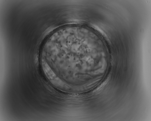 X0000094211259200711161821