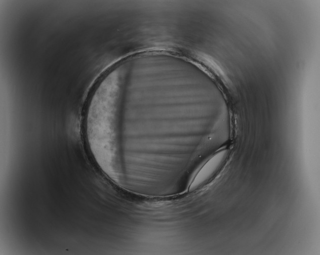X0000094211260200711161821
