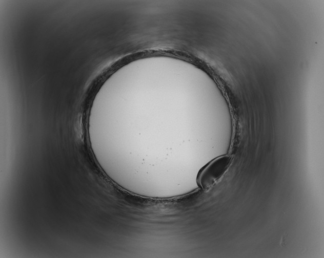 X0000094211262200711161821
