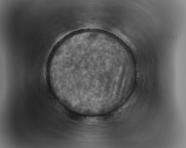 X0000094211264200711161821