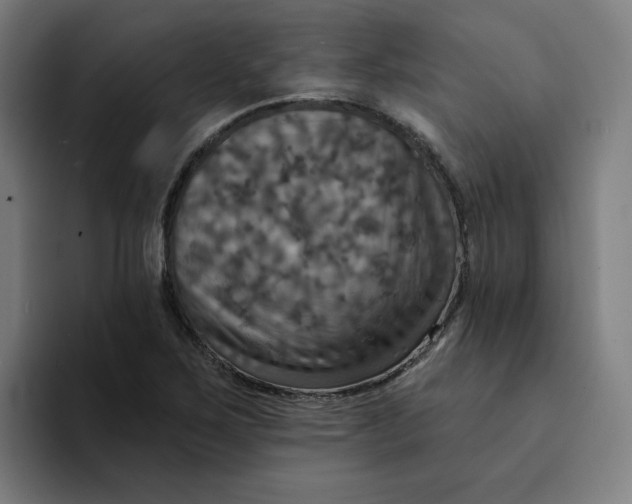 X0000094211267200711161821