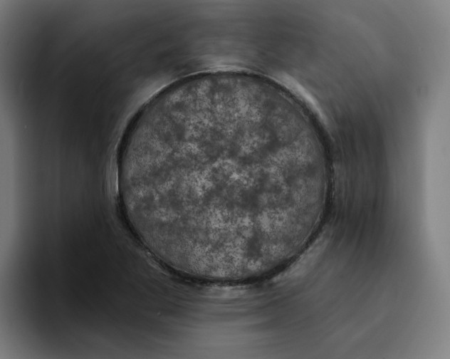 X0000094211269200711161821