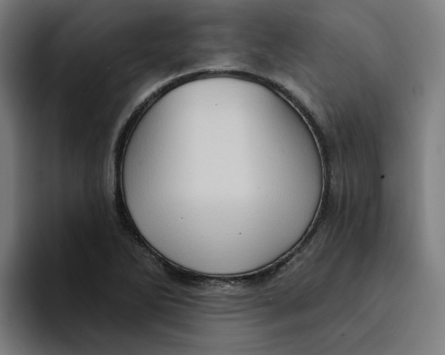 X0000094211270200711161821